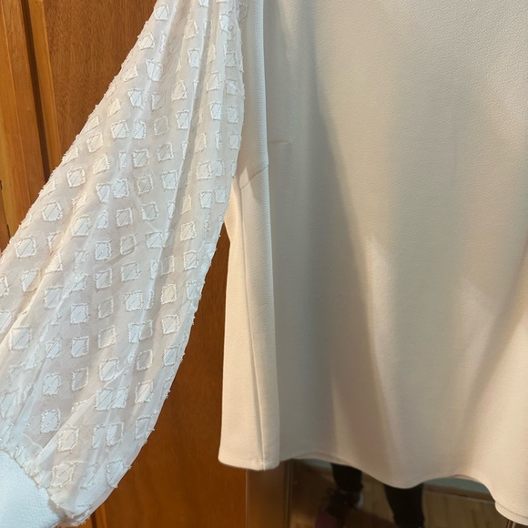 Adrianna Papell Cream Blouse with Textured Sleeves - Picture 2 of 4